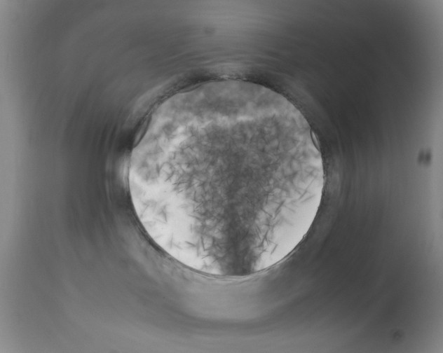 X0000111500047200908251100