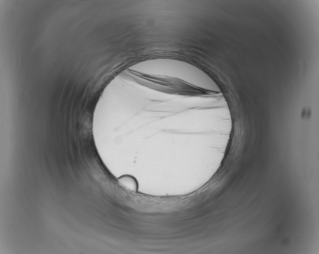 X0000111500048200908251100