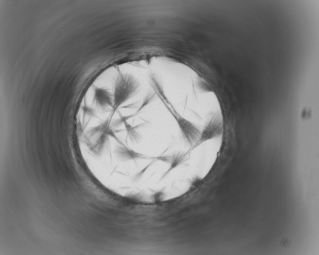 X0000111500049200908251059