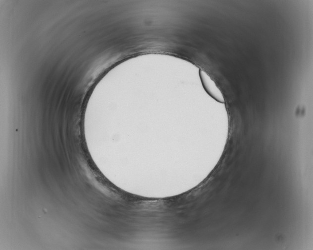 X0000111500050200908251059