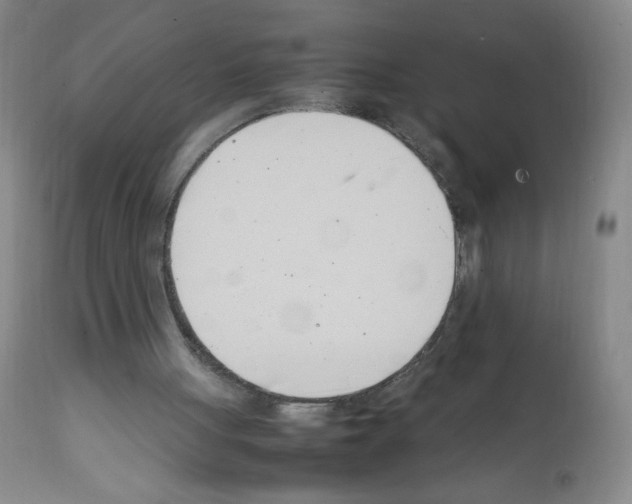 X0000111500051200908251059