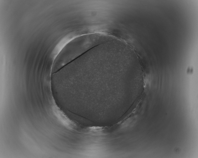 X0000111500052200908251059