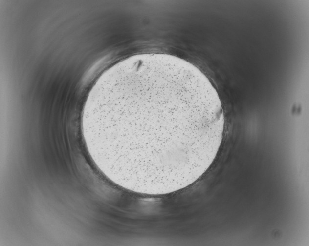 X0000111500053200908251059