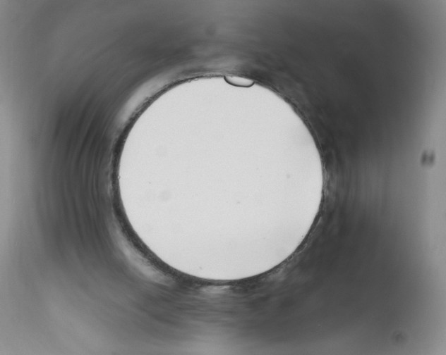 X0000111500054200908251059