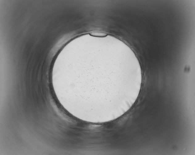 X0000111500055200908251059