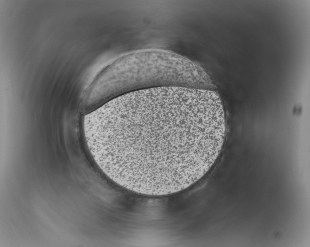 X0000111500056200908251059