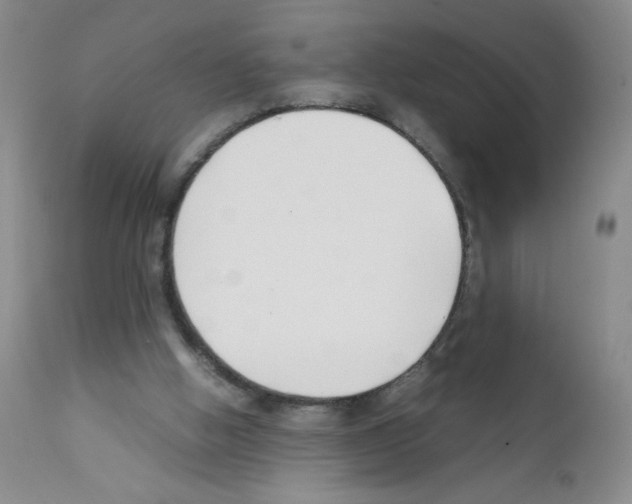 X0000111500058200908251059