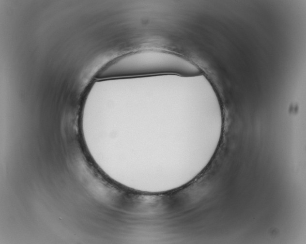 X0000111500060200908251059