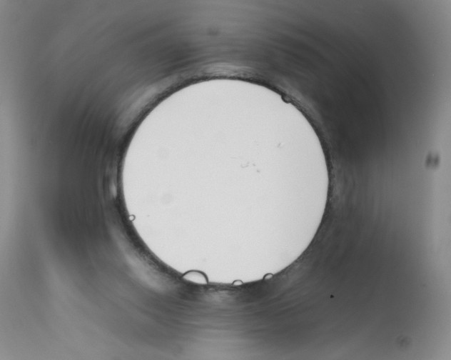 X0000111500062200908251059