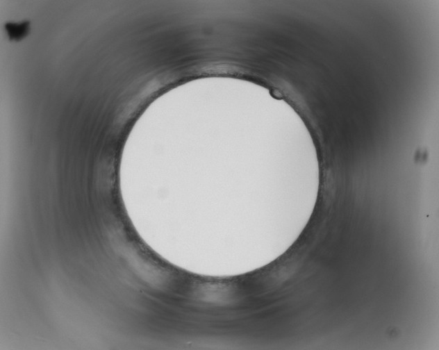 X0000111500063200908251059