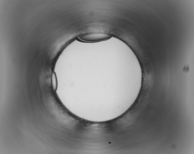 X0000111500064200908251059