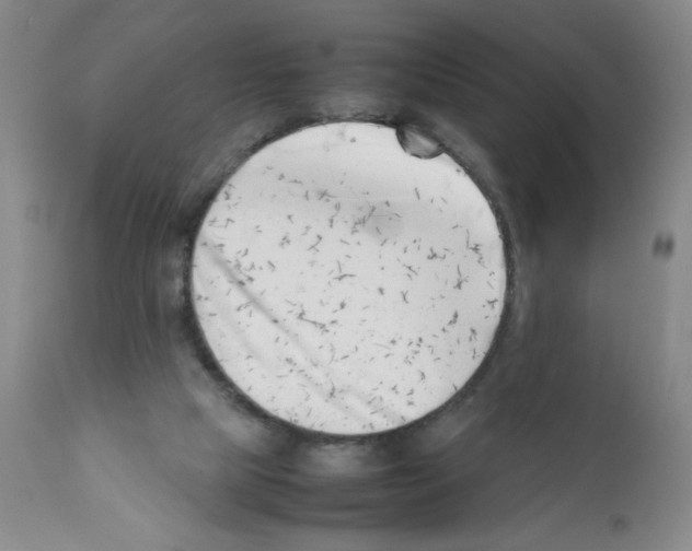 X0000111500065200908251059