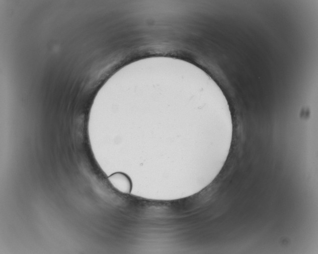 X0000111500066200908251059