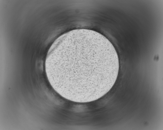 X0000111500067200908251059