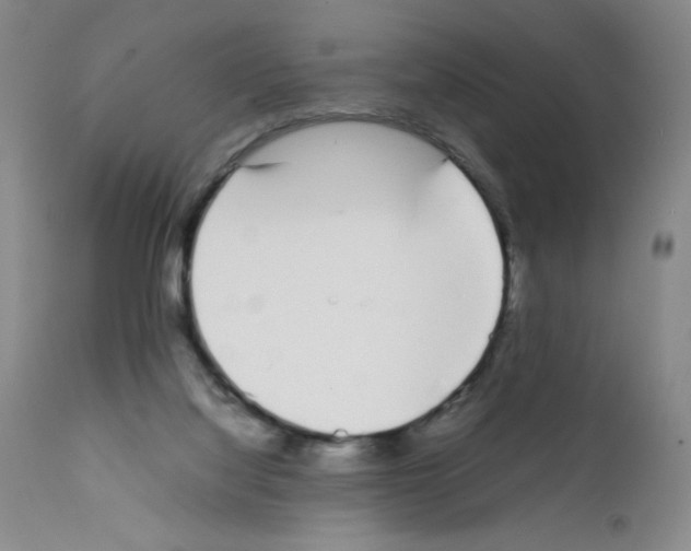 X0000111500068200908251059