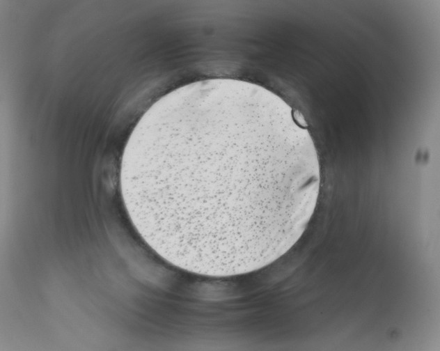 X0000111500069200908251059