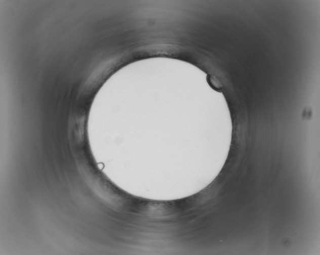 X0000111500070200908251059