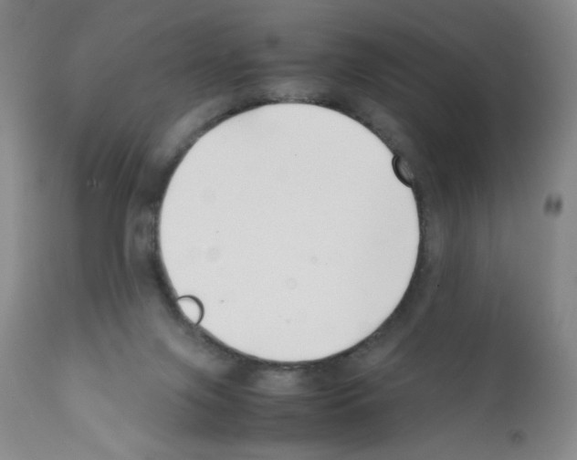 X0000111500071200908251059