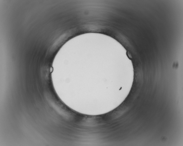 X0000111500072200908251059