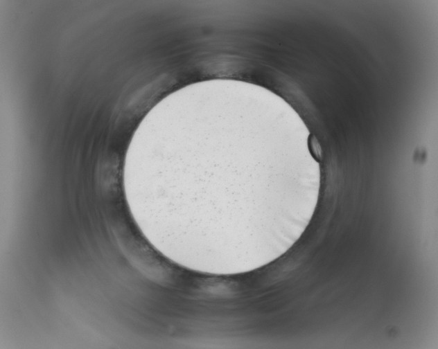 X0000111500073200908251059