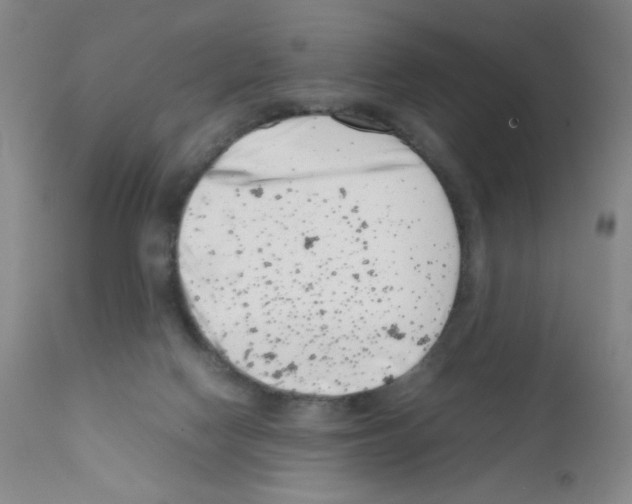 X0000111500074200908251059