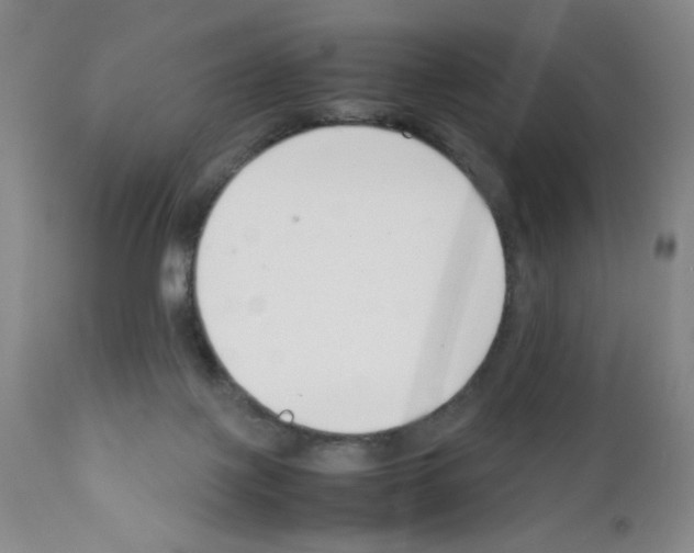 X0000111500075200908251059