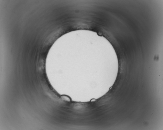 X0000111500077200908251059