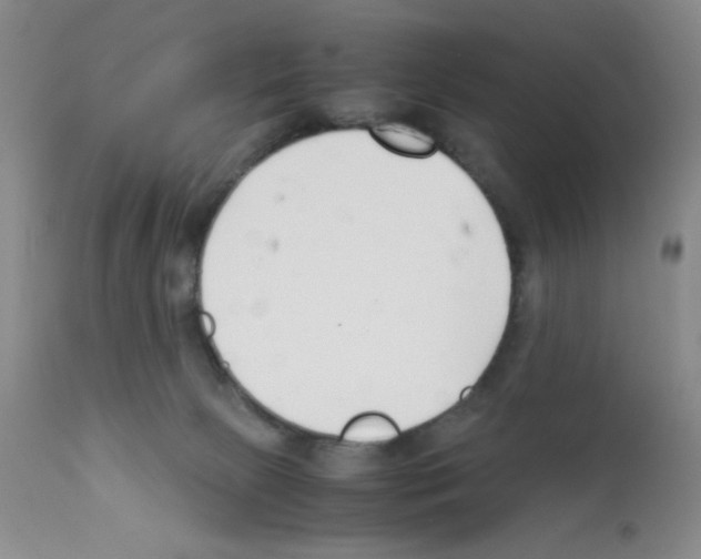 X0000111500081200908251059