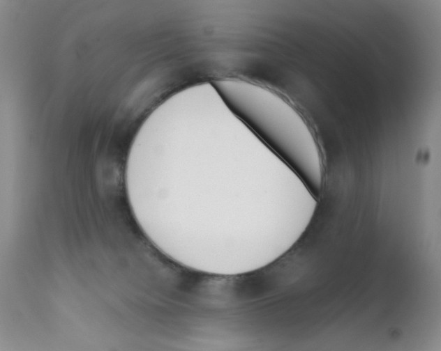 X0000111500084200908251059