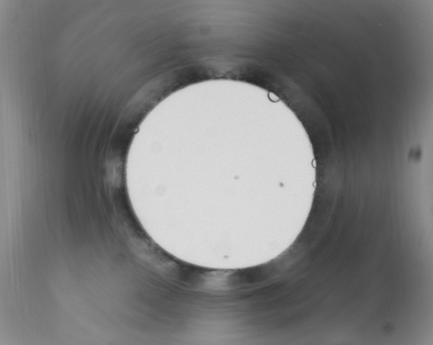 X0000111500090200908251059