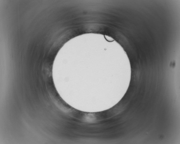 X0000111500091200908251100