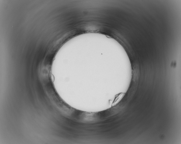 X0000111500093200908251100