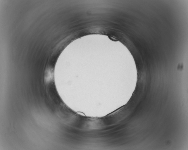 X0000111500095200908251100