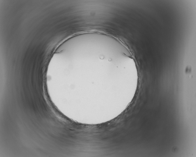 X0000111500097200908251059