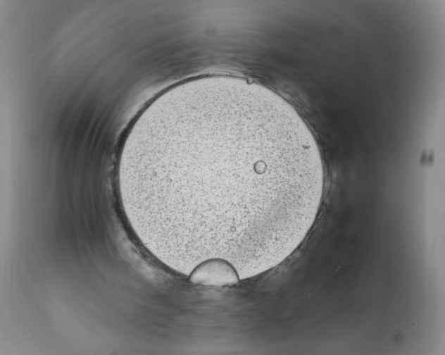 X0000111500098200908251059