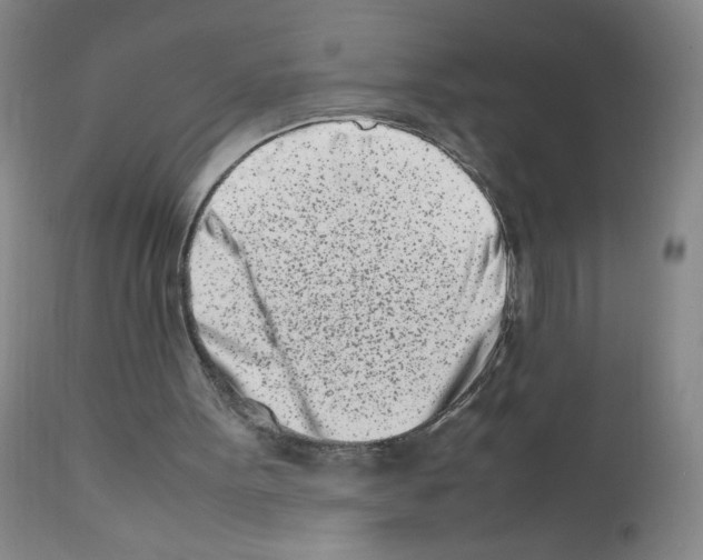 X0000111500099200908251059