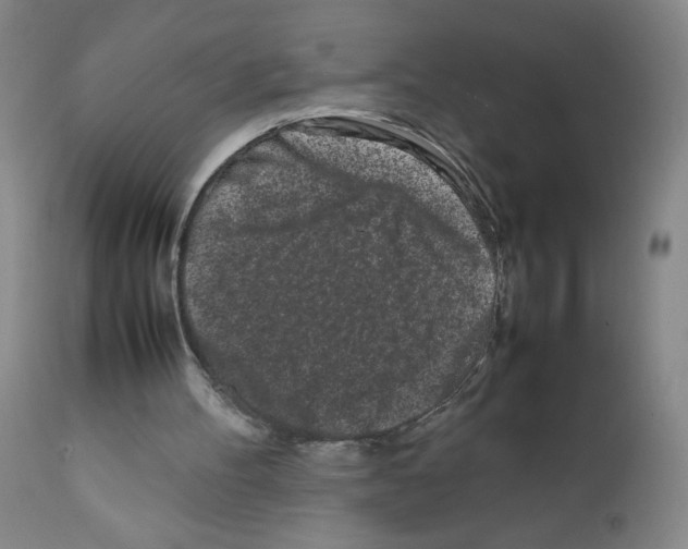 X0000111500100200908251059