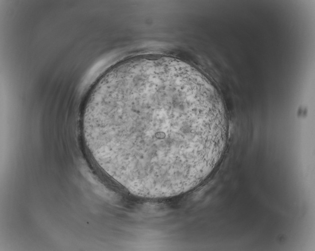 X0000111500101200908251059