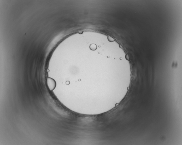 X0000111500102200908251059