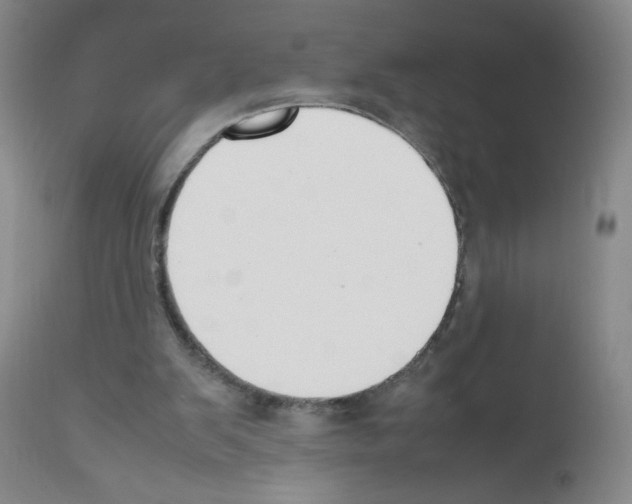 X0000111500103200908251059