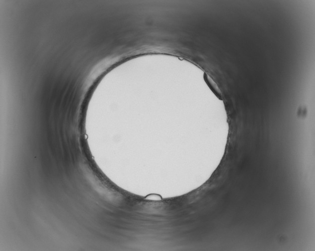 X0000111500104200908251059