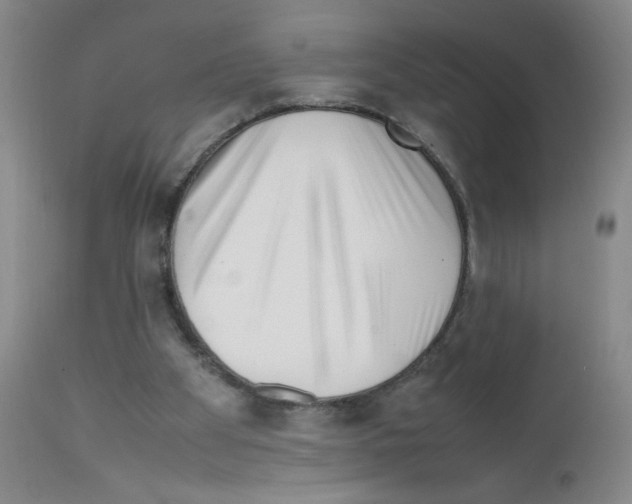 X0000111500105200908251059