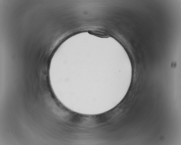 X0000111500107200908251059