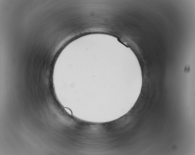 X0000111500108200908251059