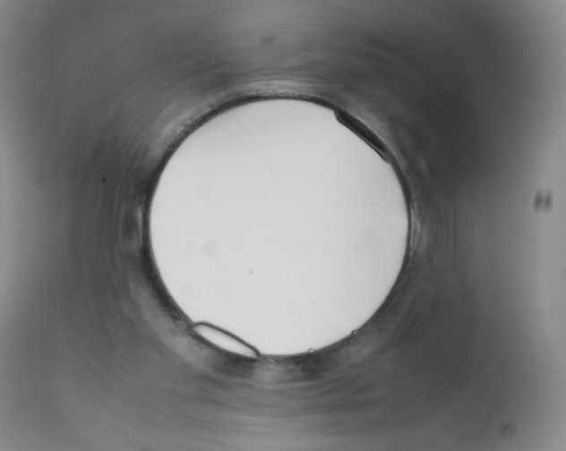 X0000111500109200908251059