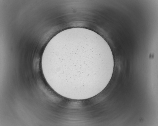 X0000111500110200908251059