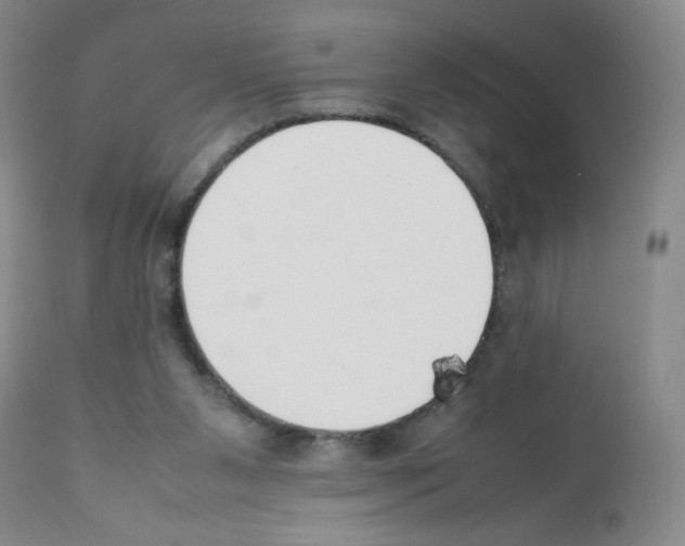 X0000111500111200908251059