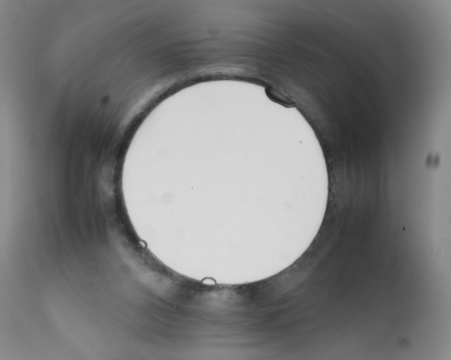 X0000111500112200908251059