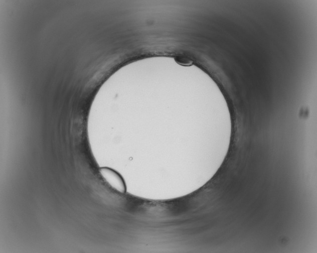 X0000111500113200908251059