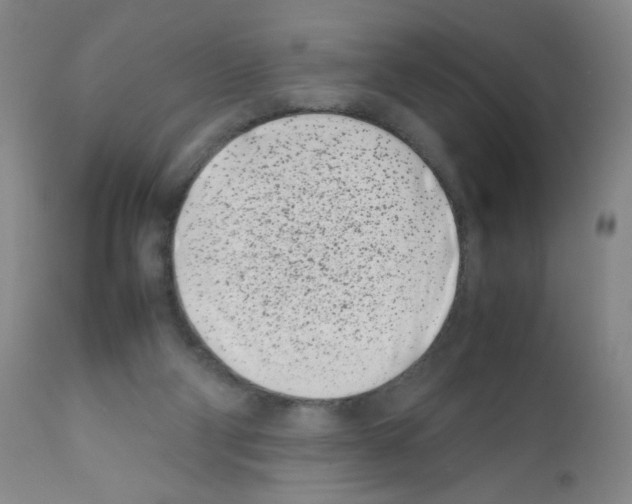 X0000111500114200908251059